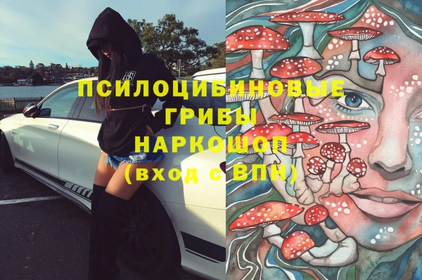 шишки Алзамай