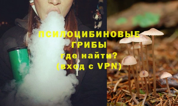 шишки Алзамай